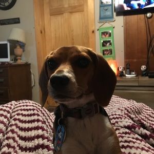 Meet your Posher, Shawna